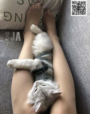国产一二区亚洲_高清完整版